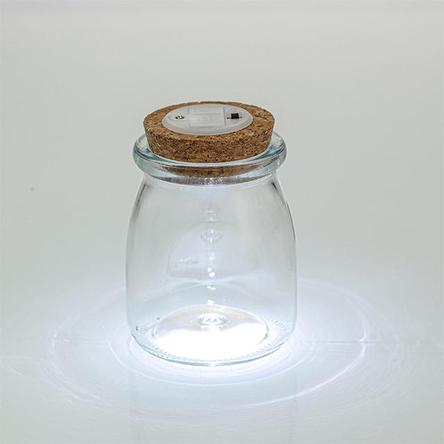 200ml Micro Landscape Eco Bottle Pudding Jar with Cork